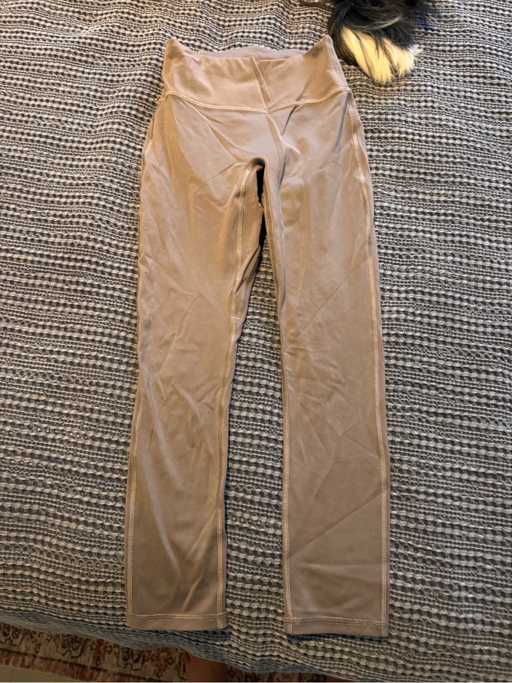 Fabletics High-Rise Women's Active Leggings in Taupe